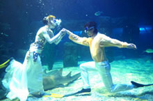 Happy Strolling: Yiwu’s Parks and Sea World Uncovered