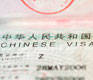 No Agencies: How to Handle Your Own F or Z Visa