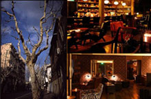 Discovering the Best of Yongfu Lu – Top 10 Highlights