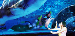 Dalian Attractions