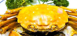 Dalian Local Food 