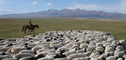 Urumqi Travel Tips 