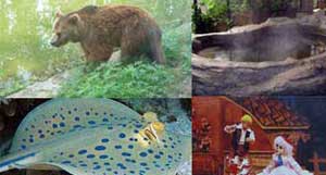 Fun Holiday Activities for Children in Beijing