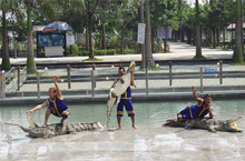 Experience the World of Reptiles at Guangzhou Crocodile Park