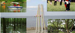 Shanghai Forest Parks