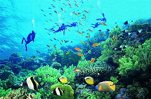 8 Fun Activities at Yalong Bay Undersea World in Sanya 