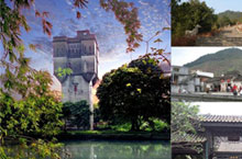 Fun in Guangzhou: Great Weekend Activities
