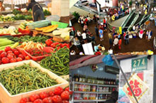 Get Your Vitamins: Shanghai's Best Fruit and Vegetable Markets