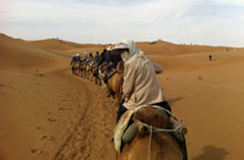 Shapotou – A Thrilling Desert Getaway from Yinchuan