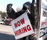 How To: Hire Chinese Assistants and Employees