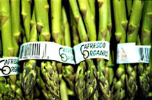 Green Groceries in Guangzhou – In Search of Organic Products