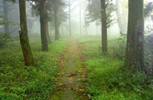 Do the Shan, Shan: Top Three Weekend Breaks Around Shanghai