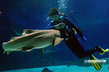 Top 10 Things You Didn’t Know You Could Do in Shanghai