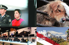 Beijing Watchdog News Round-up: Foot and Mouth, New Apps and More