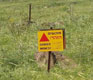 Walking the Minefield: Writing About China