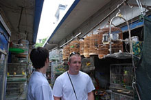 Unusual Destinations: Summer Surprises in Suzhou