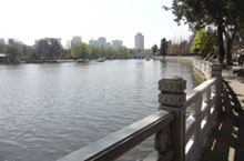 Got Guests in Town? 5 Great Places to Visit in Kunming