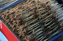 The Weird Cuisine of Shenyang: Food for the Adventurous Traveller