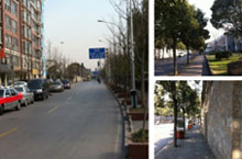 Want a Free Workout? Check out These Jogging Routes in Shanghai