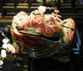 Praying for the Best: Four Chinese Lucky Animals (And One Vegetable)