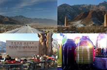 Helan Mountain Drive: Rugged Beauty, Ancient Sites and Scorpions