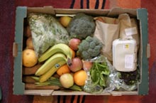 Organic Farms around Shanghai that Deliver Vegetables to your Doorstep