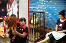 Suzhou’s Night Markets - A Taste of Life!