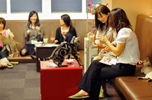 Some Purrs with Your Drink? Animal-Friendly Cafes in Shanghai