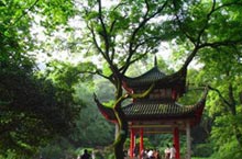 Hunting a Breeze: Changsha Summer Escapes 