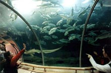 Fun with the Kids: Family Activities in Xiamen