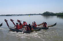 Wetlands to Woodlands: the Parks of Yinchuan