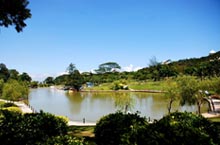 Parks in Zhuhai: Connecting with Nature in the City