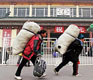 Fewer Job Opportunities: New Report Shows China’s Labor Market is Shrinking