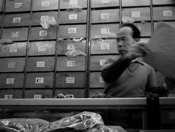 TCM traditional Chinese medicine