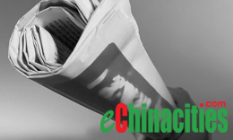 Municipal Government