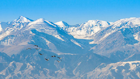 5 UNESCO World Heritage Sites in China You Must Visit