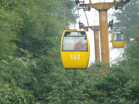 The Rail-y Pink Line: Activities along Chongqing’s Line 6