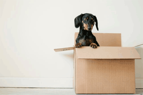 Moving in China