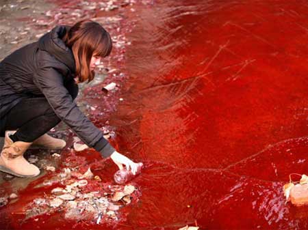 A Long and Costly Road Ahead for China's Environmental Governance