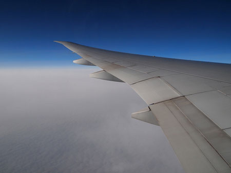 Wing