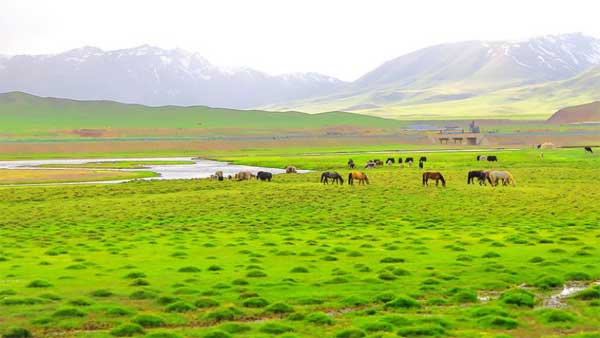 xinjiang 新疆