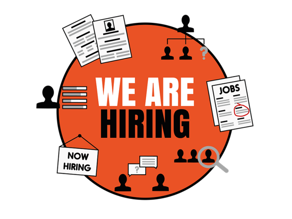 best jobs for foreigners in China