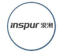 INSPUR