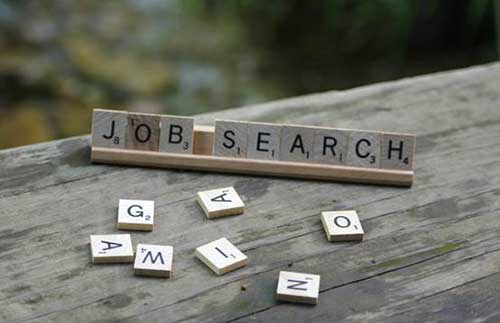 job search