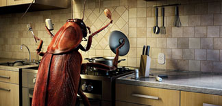 Do-It-Yourself Solutions for Common Apartment Problems (Part 2)