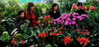 Guangzhou’s Flower Markets: Where to Buy Flowers on a Budget
