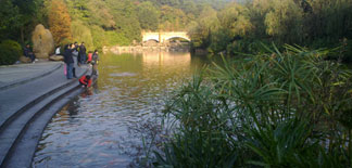 Green Living: Guangzhou’s Yunxi Eco-Park