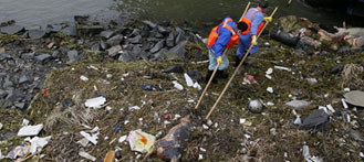 1,200 Dead Pigs Found in Shanghai River