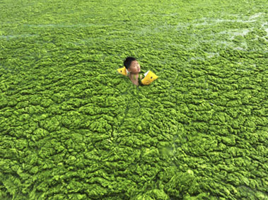 China’s Development and its Quest to Control Nature