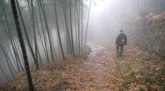Embrace the Outdoors: Best Nature Walks Near Shanghai
